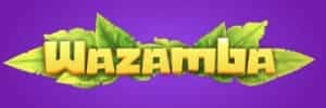 Código promocional blaze